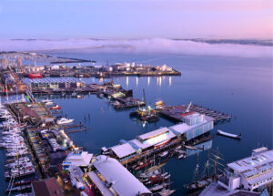 Aerial view of Auckland’s waterfront at sunset, showing marinas filled with boats, modern harbourfront buildings, and cranes along the docks. A low layer of fog drifts across the harbour toward the Auckland Harbour Bridge, while soft pink and purple hues reflect on the calm water.