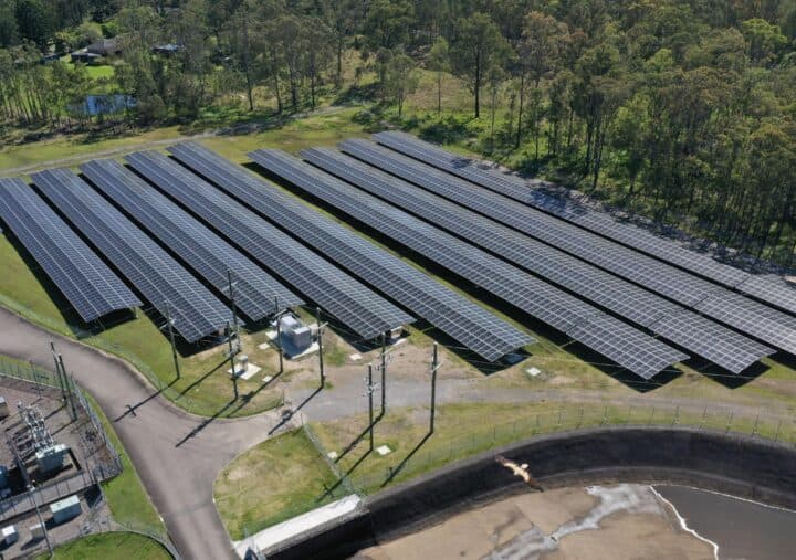 An aerial view of a solar farm installation bordered by dense eucalyptus forest. Multiple long, parallel rows of dark photovoltaic solar panels stretch across a grassy field. In the foreground, there is an electrical substation area enclosed by a fence, and a large, dark, lined containment pond or basin. Utility poles and a dirt access road run through the middle of the installation. A bird is flying over the containment area in the lower center.